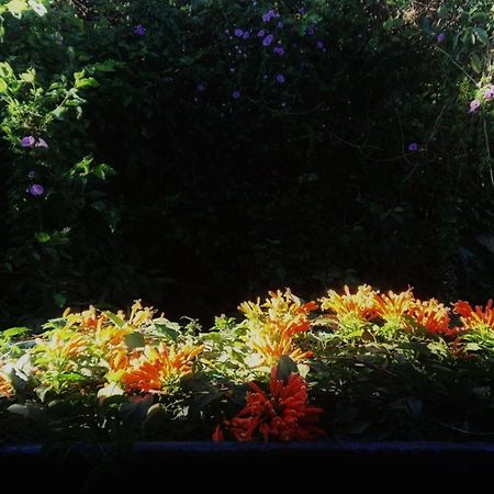 Dalat Inn Homestay Εξωτερικό φωτογραφία