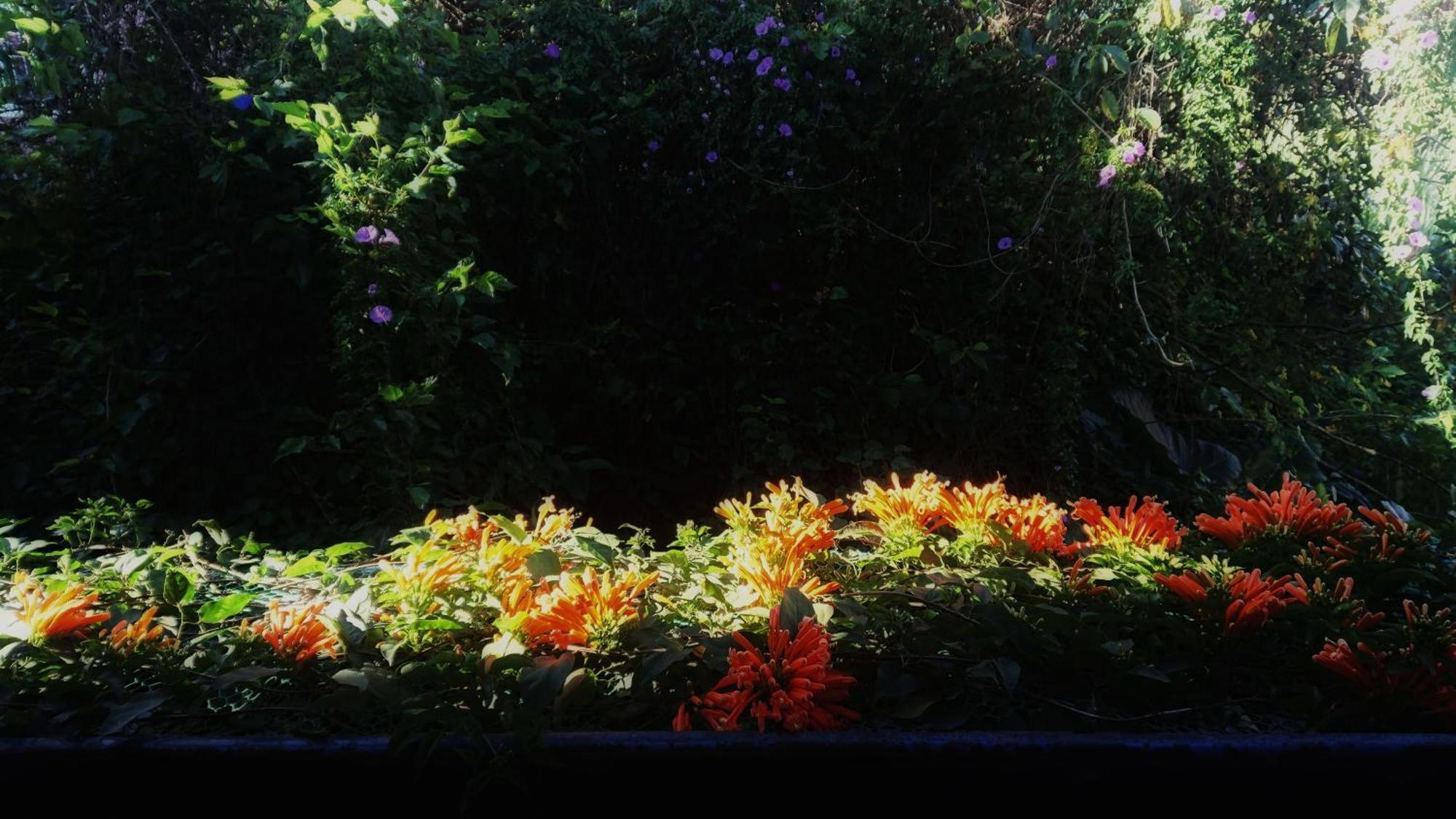 Dalat Inn Homestay Εξωτερικό φωτογραφία