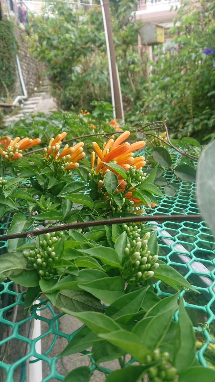 Dalat Inn Homestay Εξωτερικό φωτογραφία