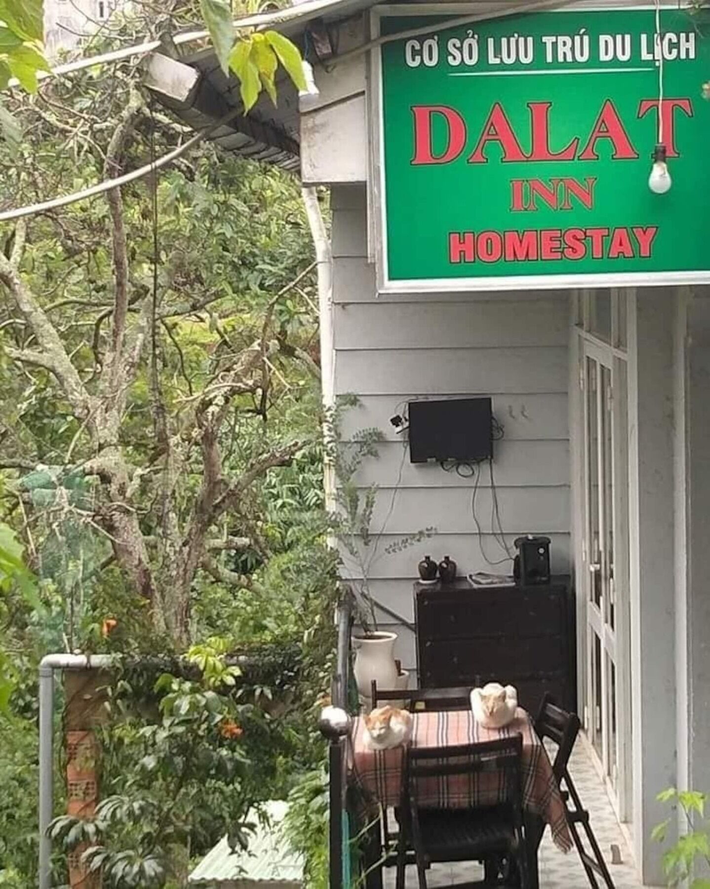 Dalat Inn Homestay Εξωτερικό φωτογραφία
